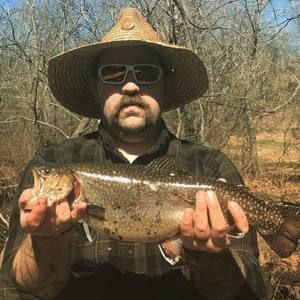 Meet your Posher, Dan